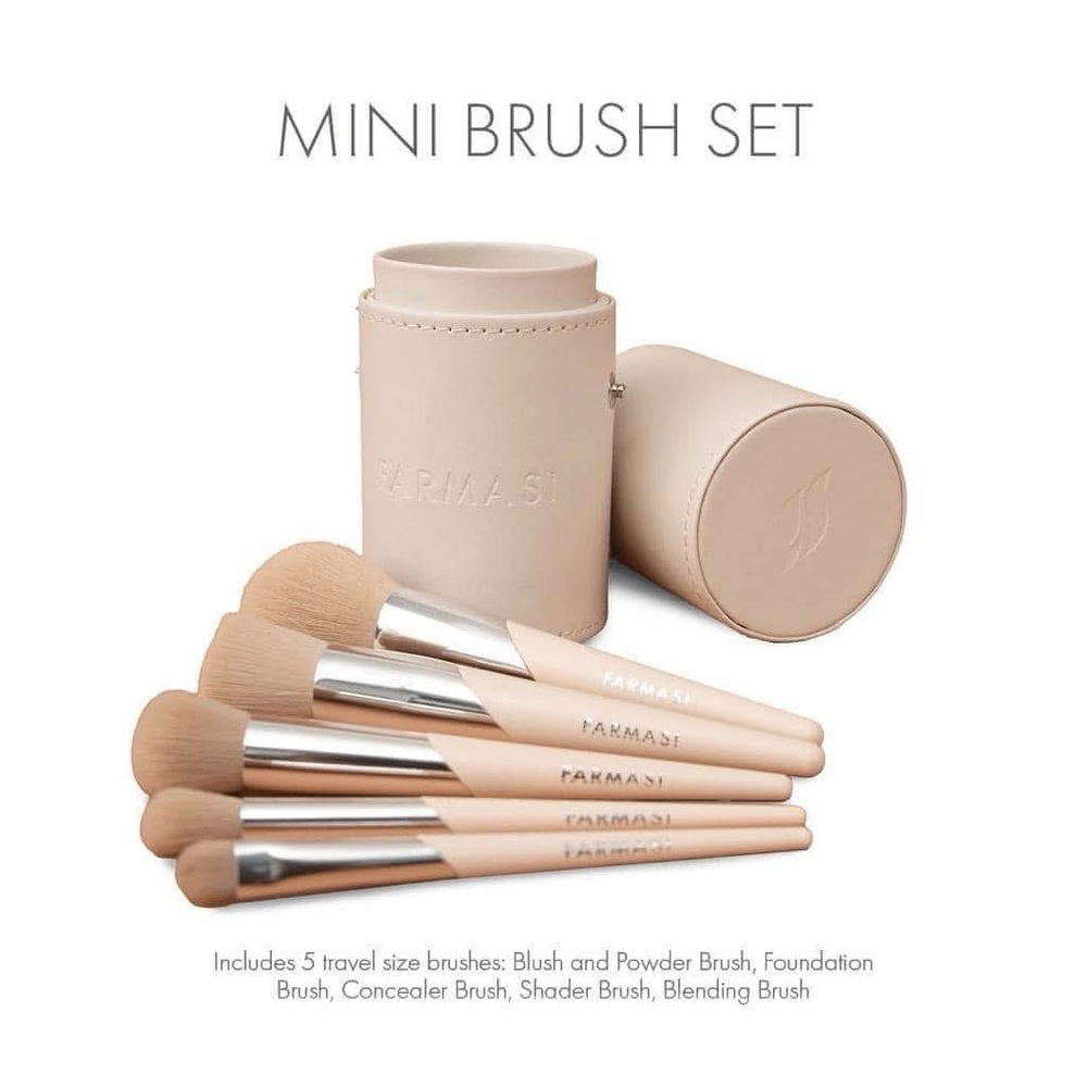 Mini Travel Brush Set with Case